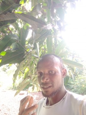 Photos de ibrahimamittydiallo